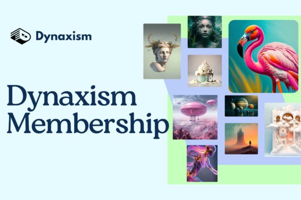 Dynaxism Subscription