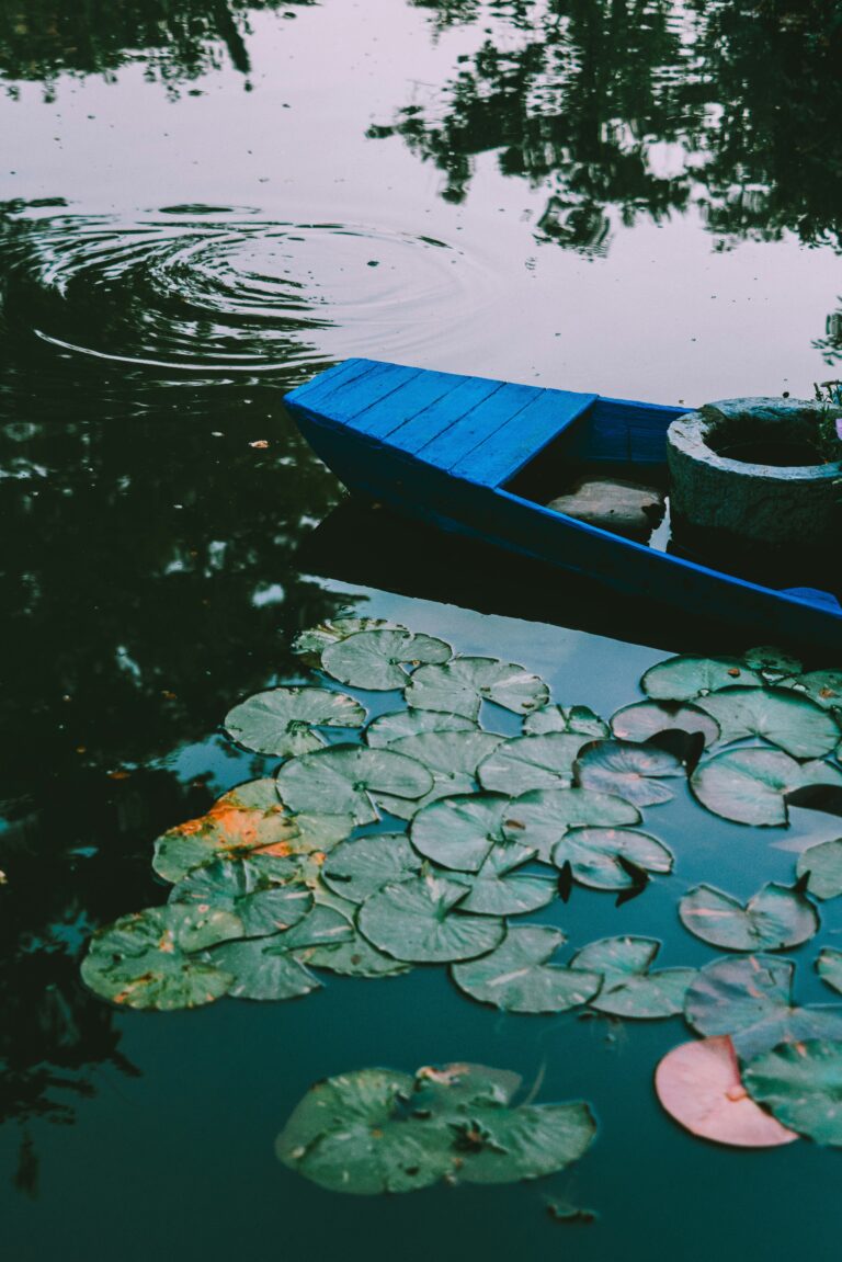 Serene Lake and Fishing Boat